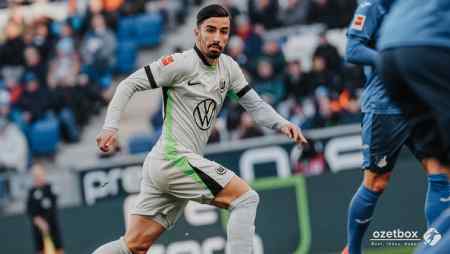 Hoffenheim Wolfsburg Özet